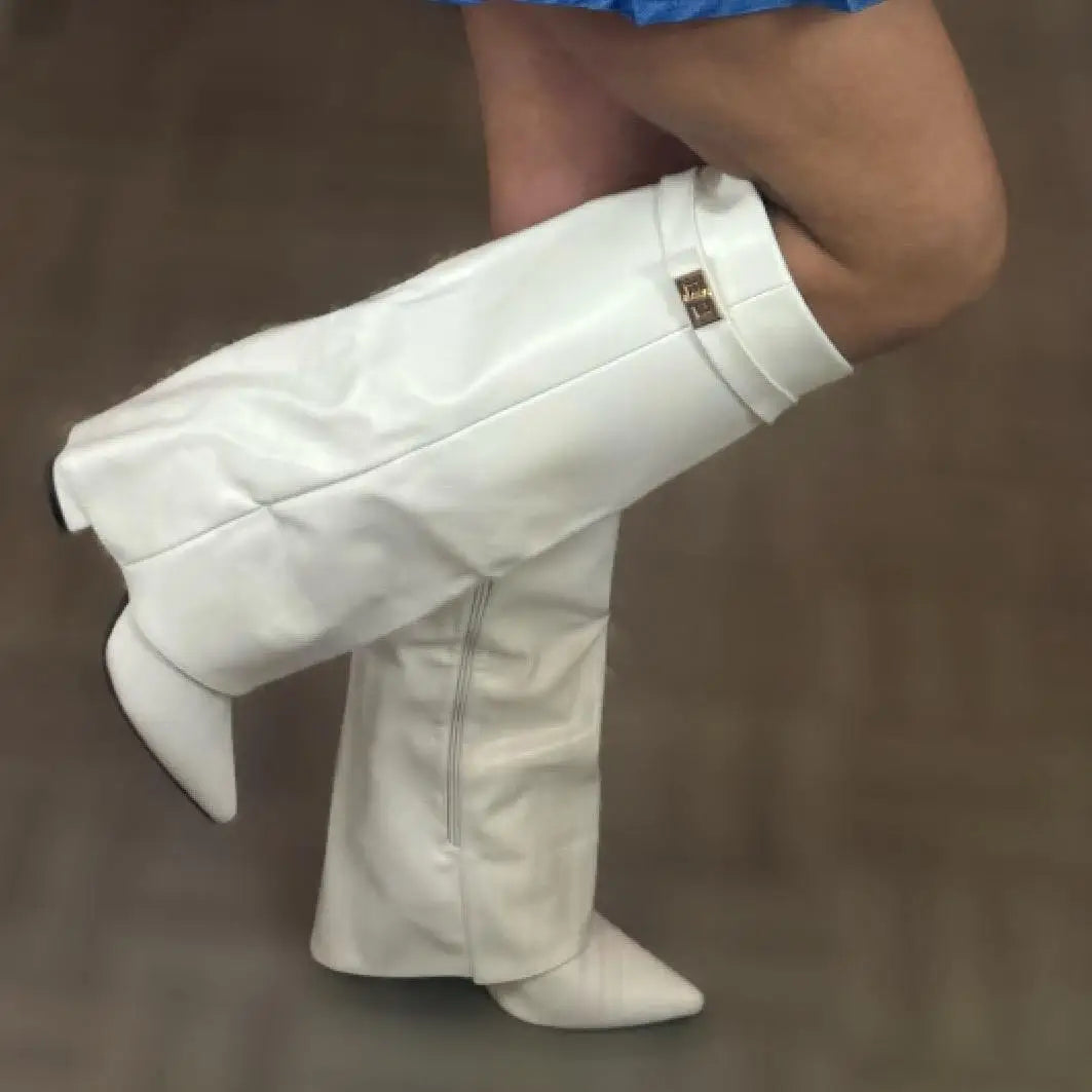 Elisa | Women's Suede Knee High Block Heel Boots
